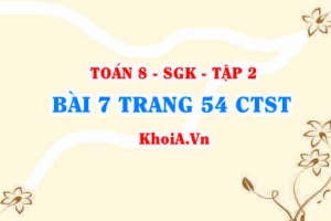 Bài 7 trang 54 Toán 8 Chân trời sáng tạo Tập 2